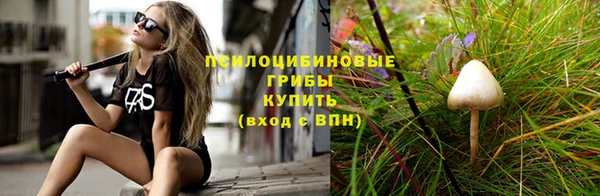 тгк Вяземский