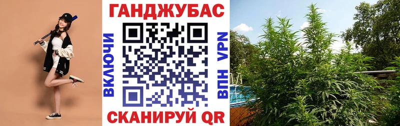 сколько стоит  это наркотические препараты  Канабис MAZAR  Изобильный  MEGA онион 